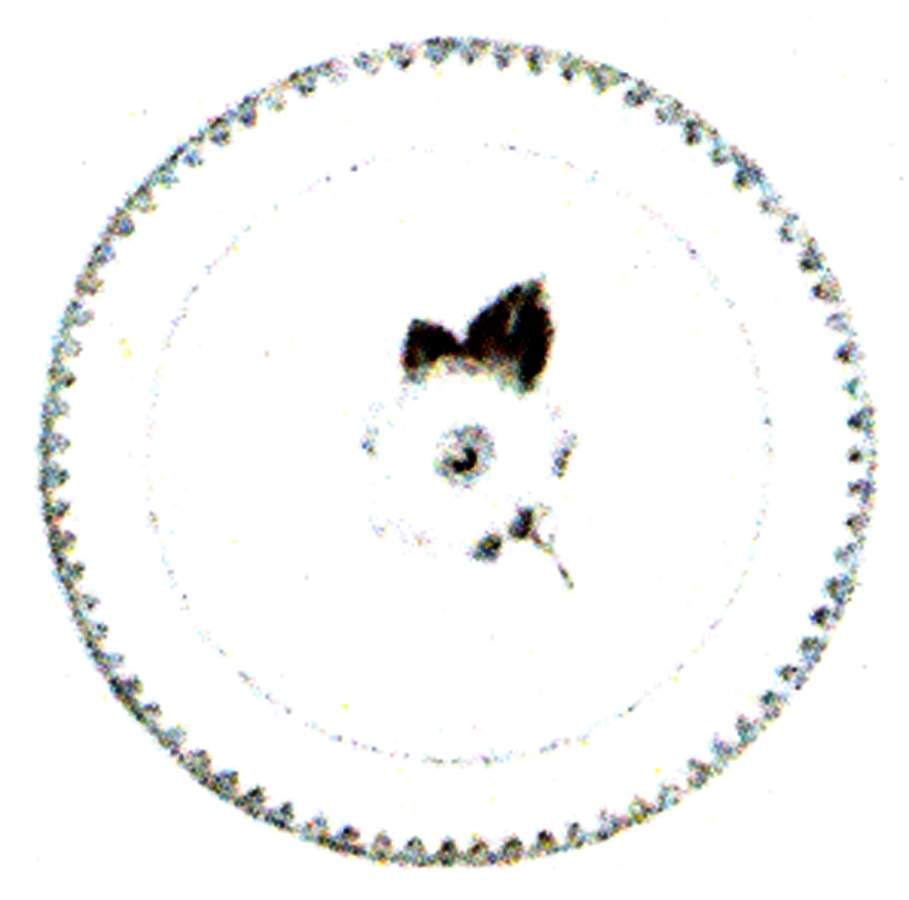 Rose Salad Plate by Porsgrund-1