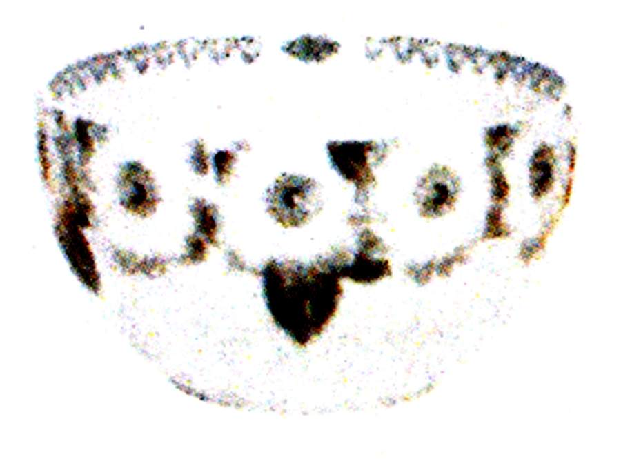 Rose Small Round Serving Bowl by Porsgrund-1