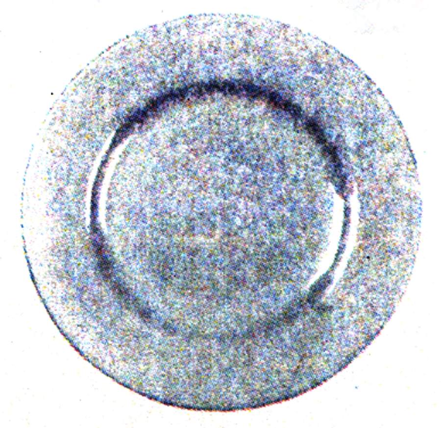 Tid Dinner Plate by Porsgrund-1