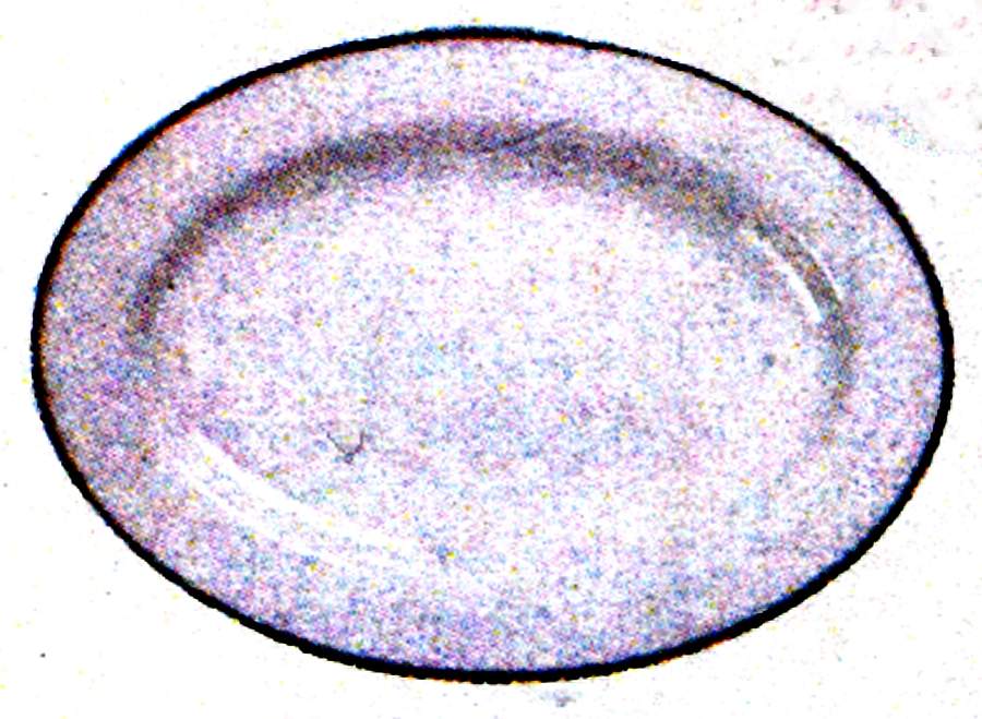 Nathalie Platinum 15" Oval Serving Platter by Porsgrund-1