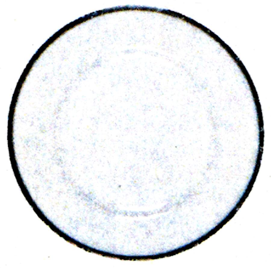 Nathalie Platinum 12" Gourmet Plate by Porsgrund-1