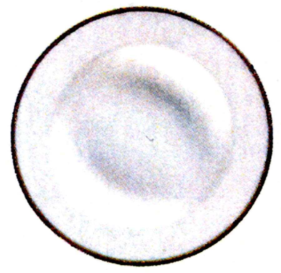 Nathalie Gold Deep Dinner Plate by Porsgrund-1