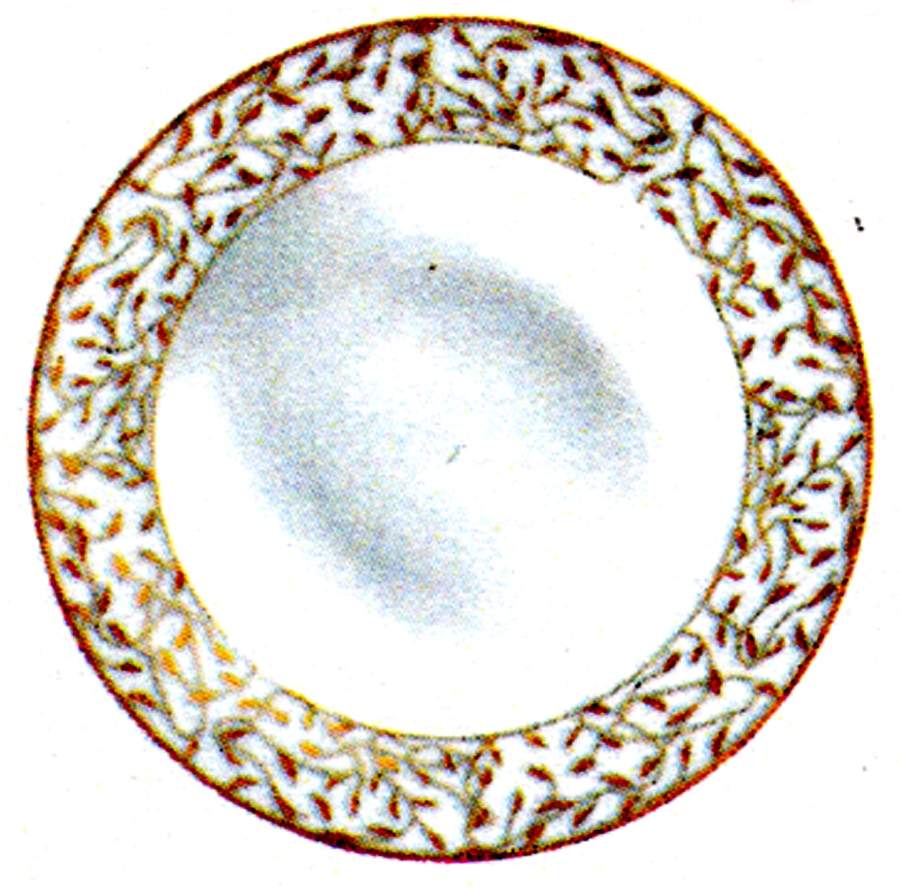 Cecilie Gold Deep Dinner Plate by Porsgrund-1
