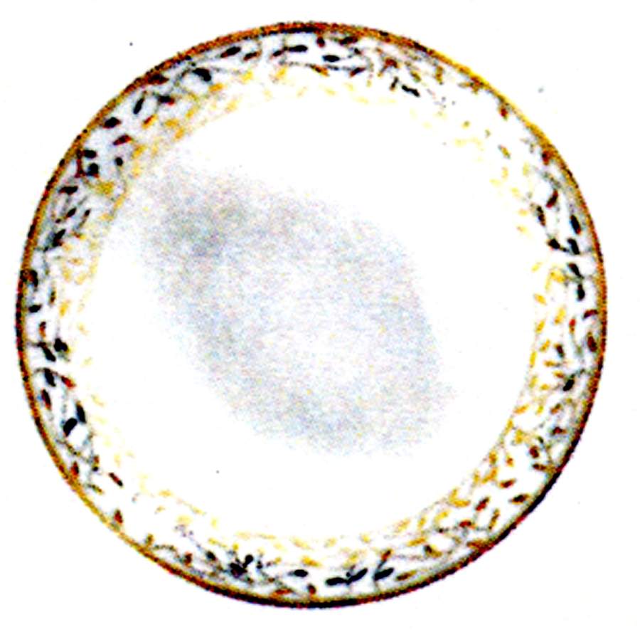 Cecilie Gold Dessert/Pie Plate by Porsgrund-1