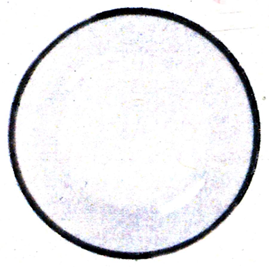 Sina 12" Gourmet Plate by Porsgrund-1