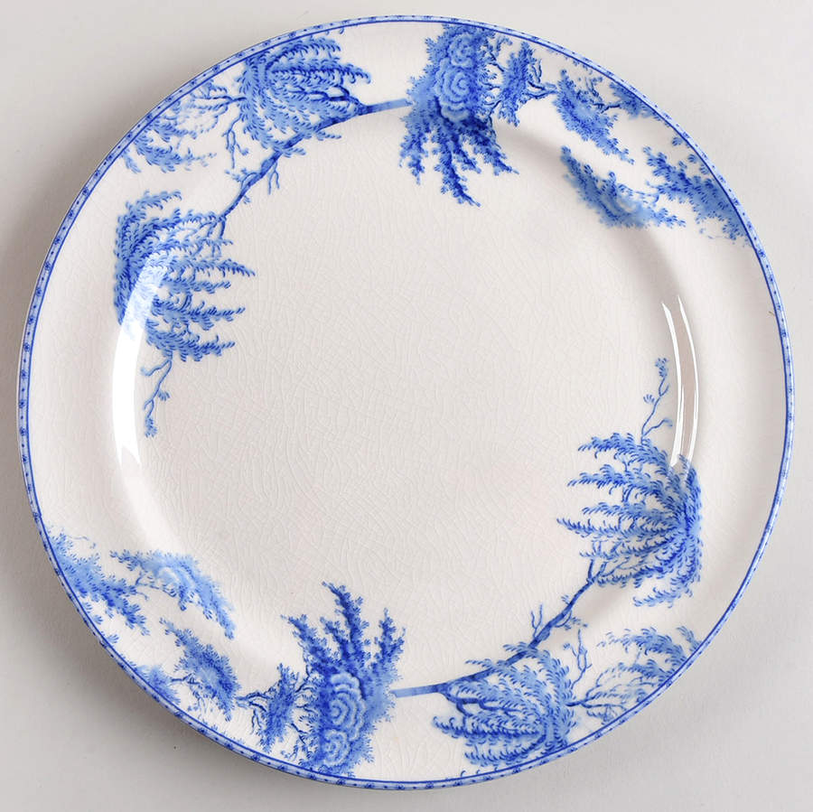 Sophia Dinner Plate by Pottery Barn China-1