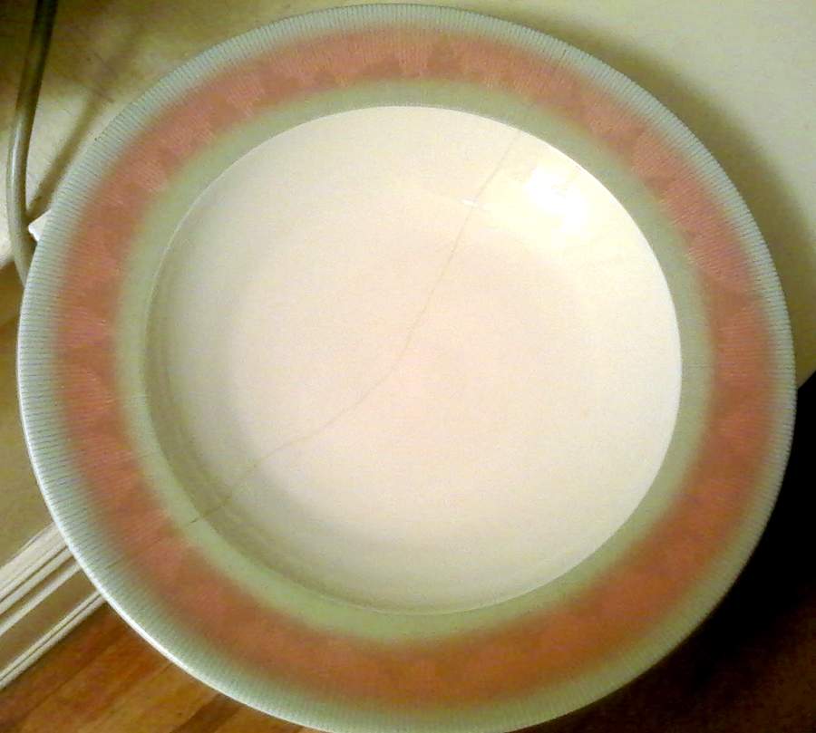 PIL38 Dinner Plate by Pillivuyt-1