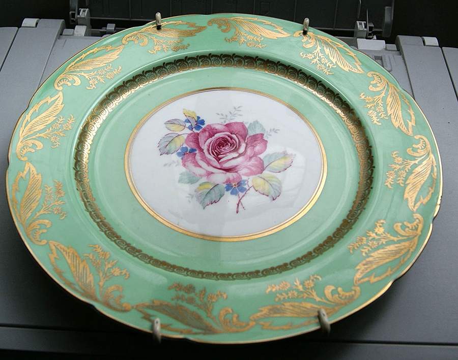 Z904-7 Dinner Plate by Paragon-1