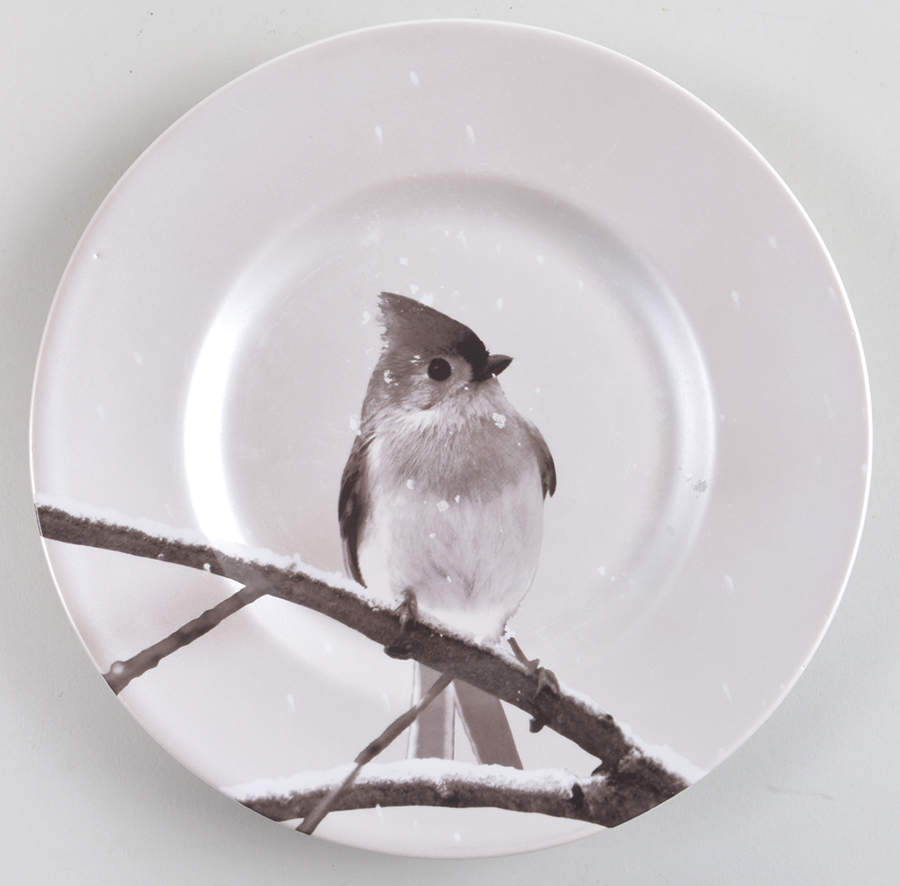 Snow Forest Accent Salad Plate by Pier 1-1