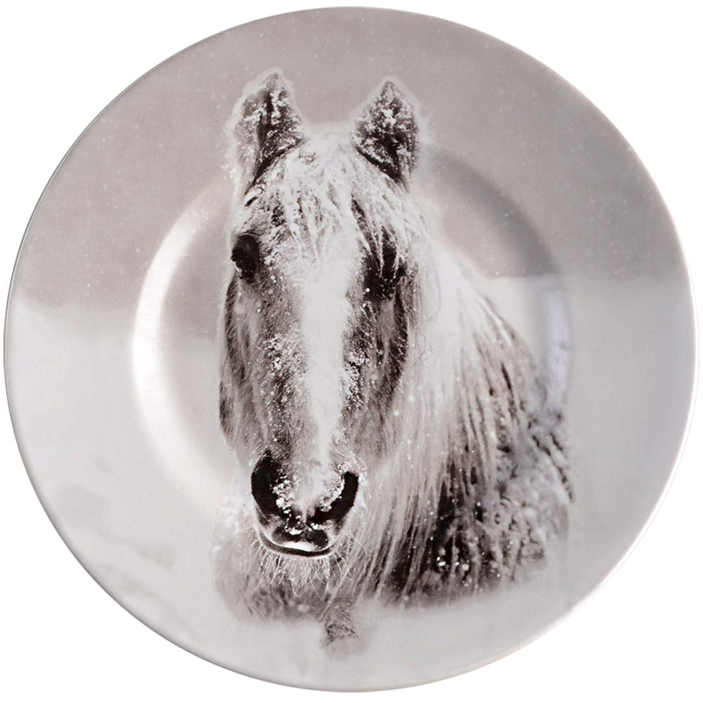 Snow Forest Accent Salad Plate by Pier 1-1