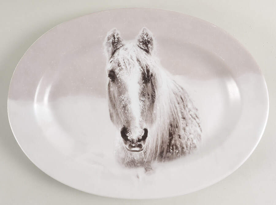 Snow Forest 14" Oval Serving Platter by Pier 1-1