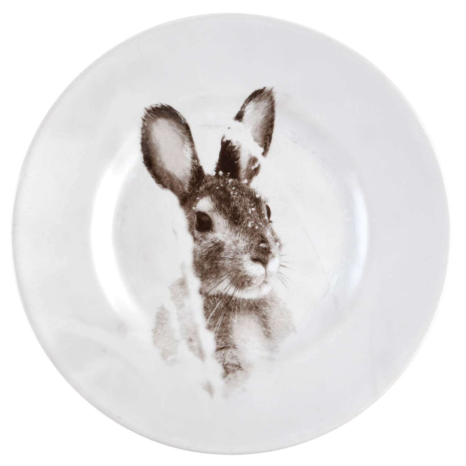 Snow Forest Accent Salad Plate by Pier 1-1