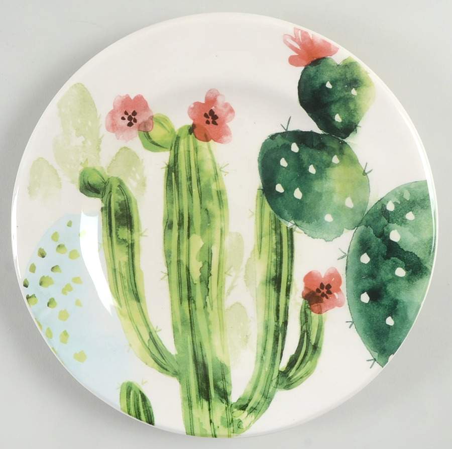 Desert Cactus Salad Plate by Pier 1-1
