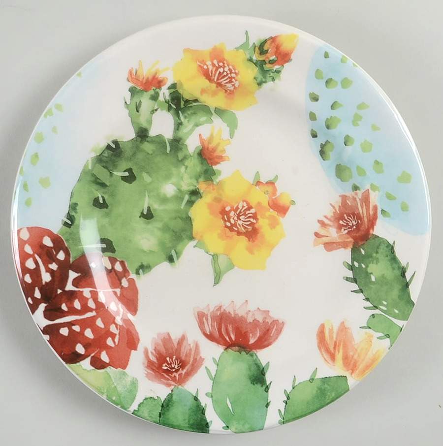 Desert Cactus Salad Plate by Pier 1-1