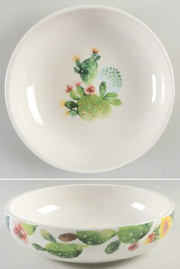 Desert Cactus Individual Dinner Bowl by Pier 1-1
