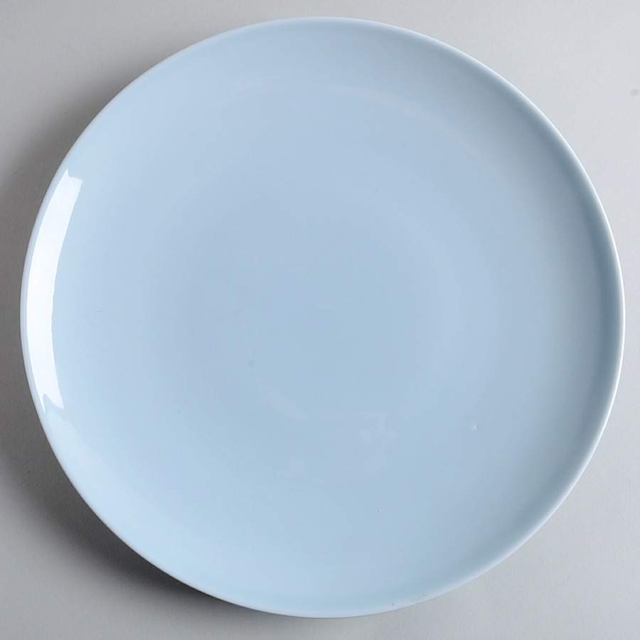PIL41 Dinner Plate by Pillivuyt-1