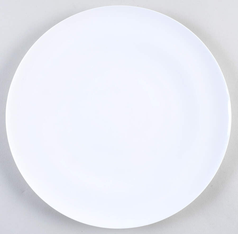Aaron Probyn Dinner Plate by Pottery Barn China-1