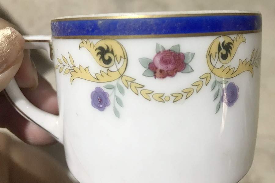 5541 Flat Cup by PULS (Germany, Czech)-1