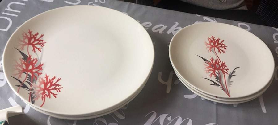 PGN97 Dinner Plate by Pagnossin-1