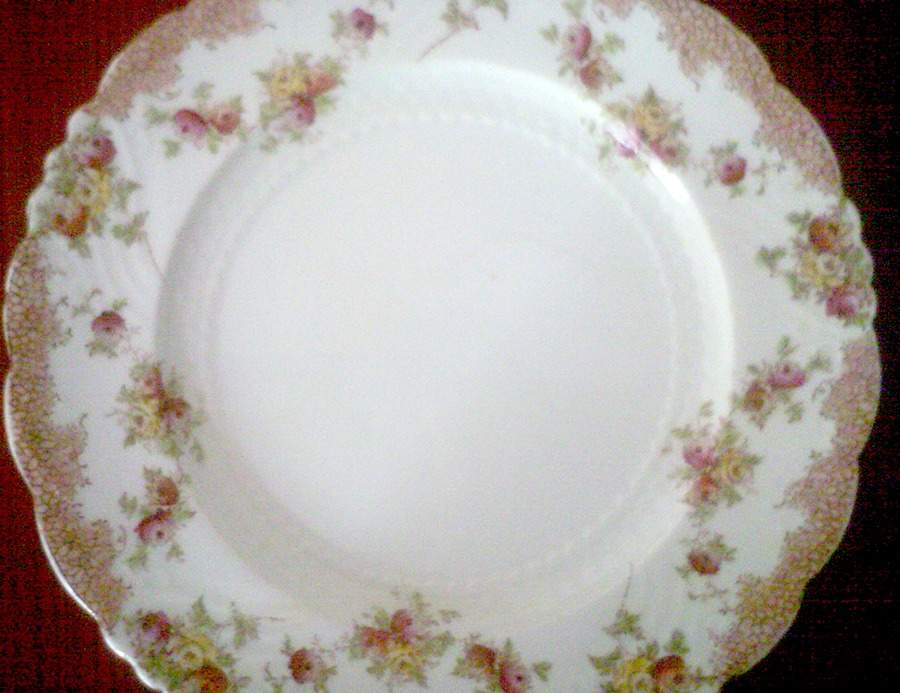 2051 Dinner Plate by Paragon-1