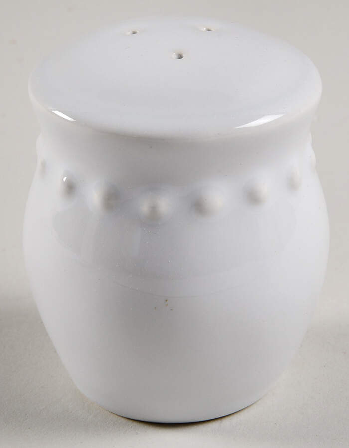 Emma True White Salt Shaker by Pottery Barn China-1