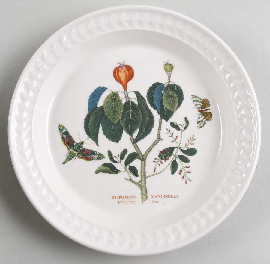 Botanic Garden Harmony Salad Plate by Portmeirion-1
