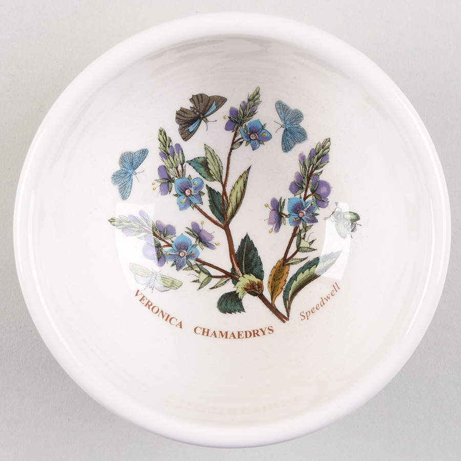 Botanic Garden Harmony Individual Salad/Dessert/Fruit Bowl by Portmeirion-1