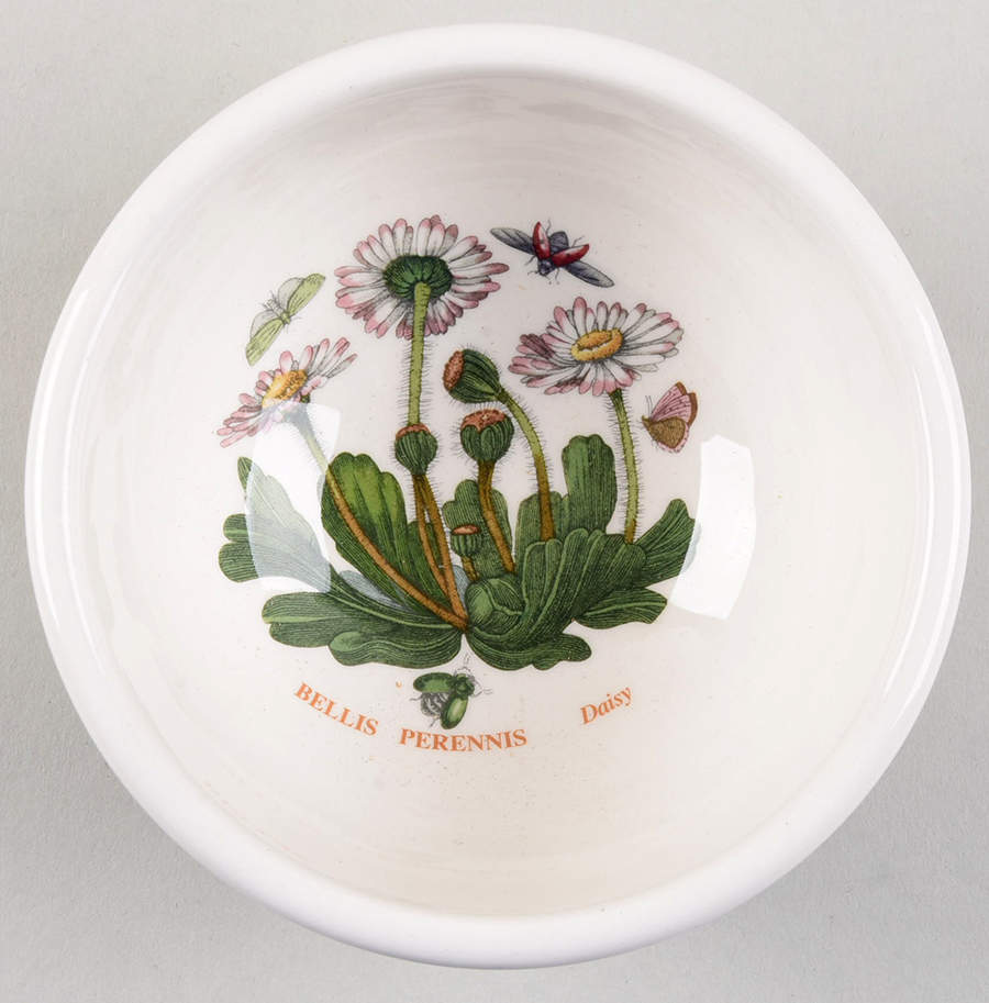 Botanic Garden Harmony Individual Salad/Dessert/Fruit Bowl by Portmeirion-1