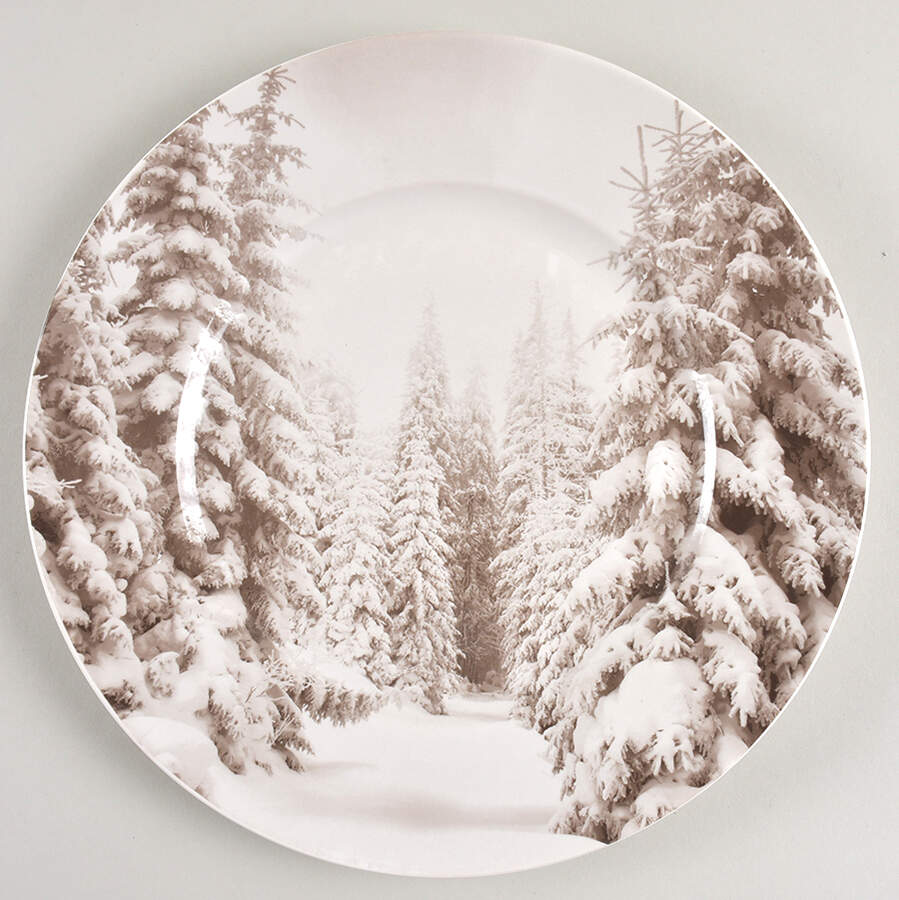 Winter Forest Dinner Plate by Pier 1-1