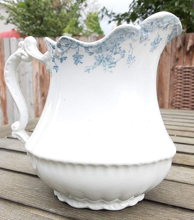 Viola Pitcher by Pitcairns-1