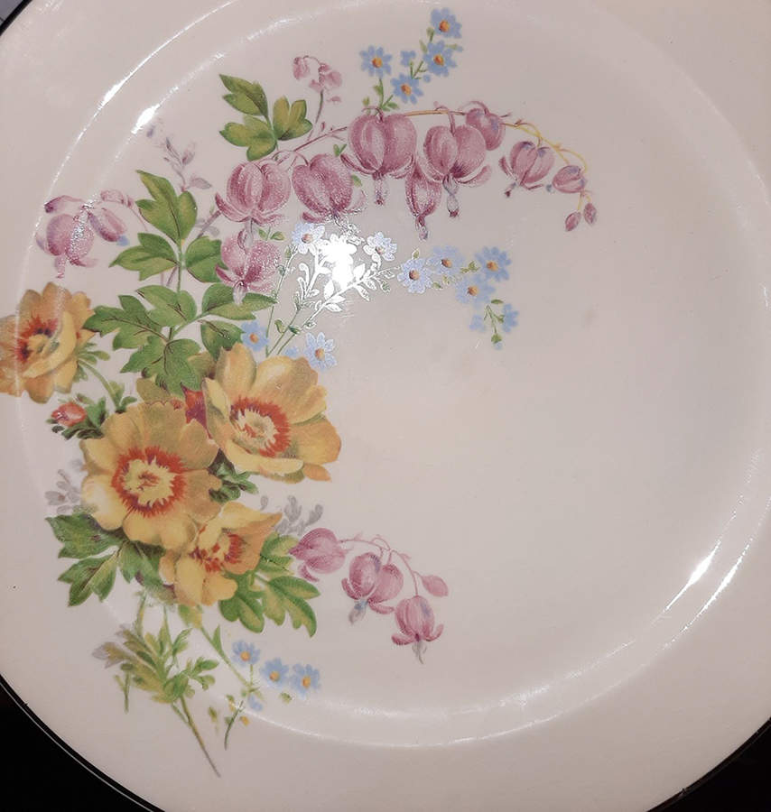 PCP329 Dinner Plate by Paden City-1