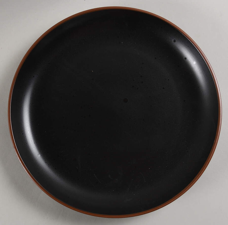Hunter Black Dinner Plate by Pfaltzgraff-1