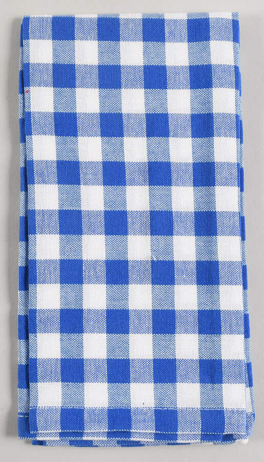 Gingham Cloth Napkin by Pioneer Woman-1