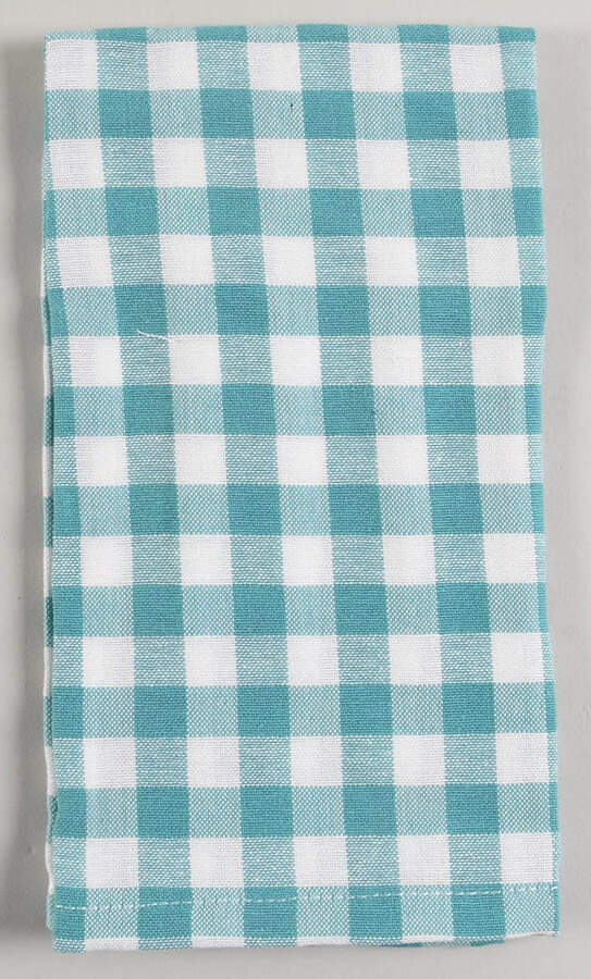 Gingham Cloth Napkin by Pioneer Woman-1