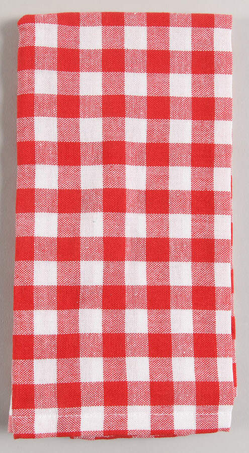 Gingham Cloth Napkin by Pioneer Woman-1