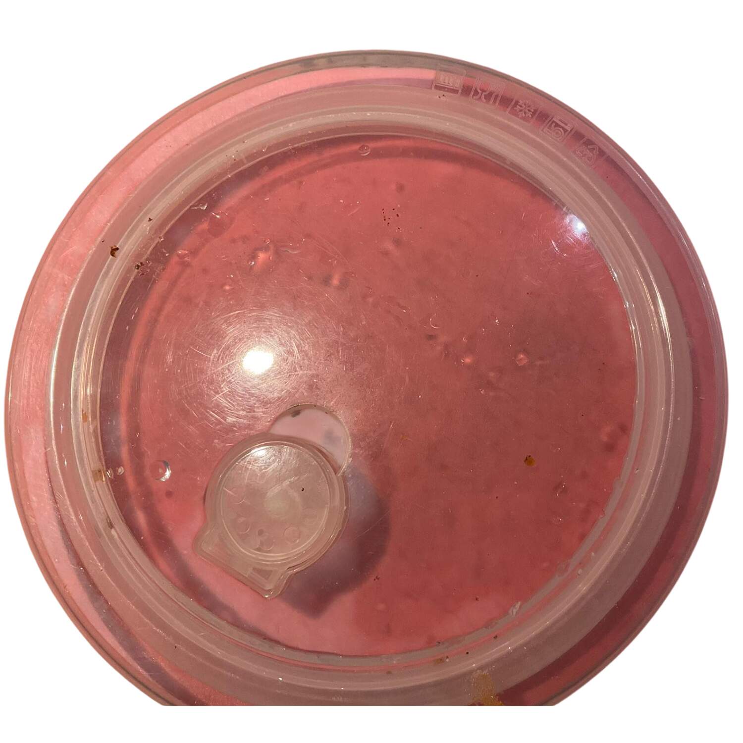 Mazie 6" Round Baker-Plastic Lid by Pioneer Woman-1