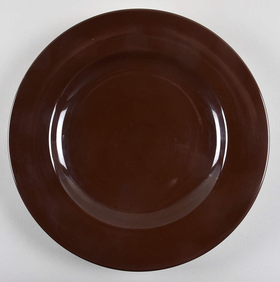 Essentail Colours Chocolate Dinner Plate by Pier 1-1