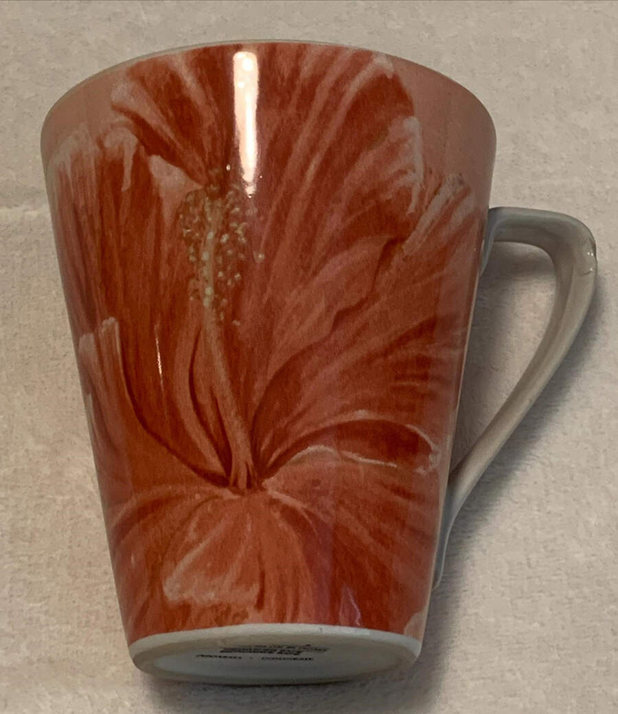 Watercolor Blooms Mug by Pier 1-1