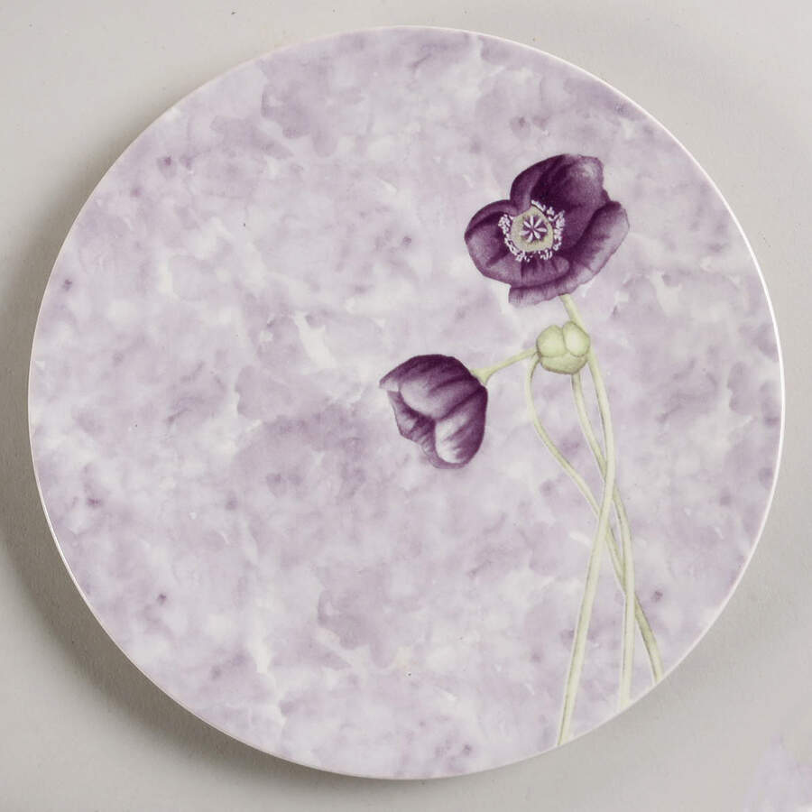 PGN100 Salad Plate by Pagnossin-1