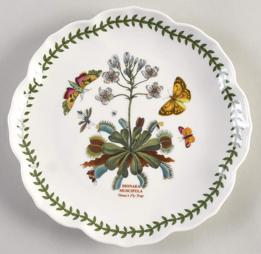 Botanic Garden Lotus Blossom Salad Plate by Portmeirion-1