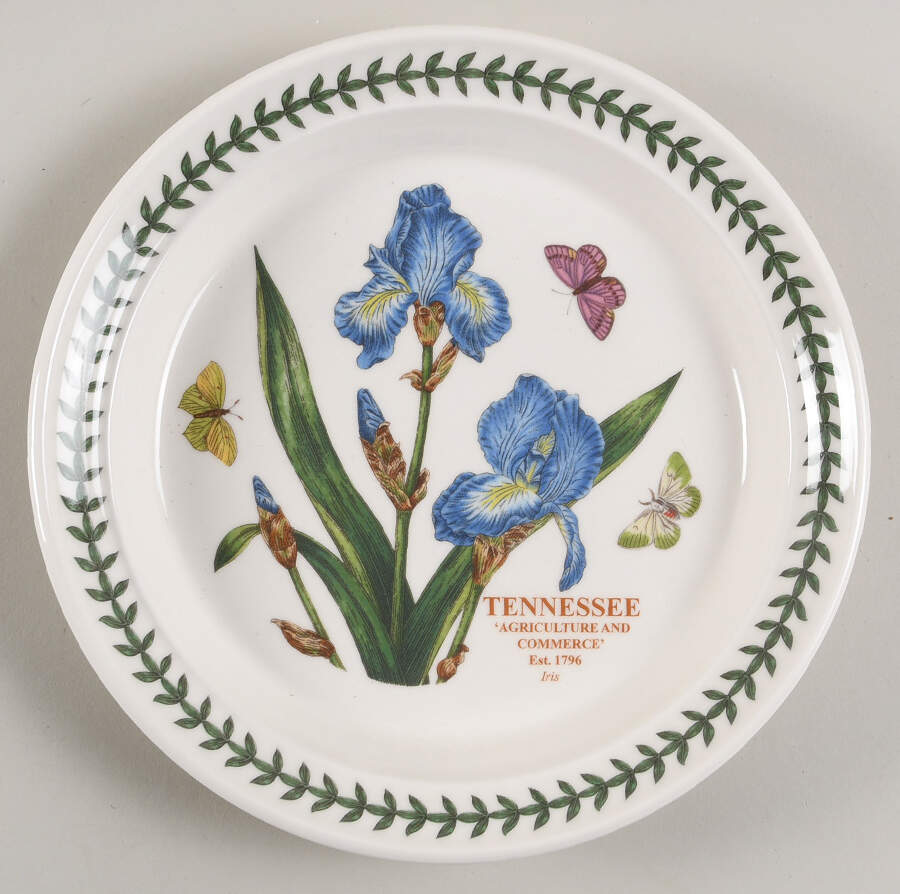Botanic Garden-Blossoming States Tennessee Salad Plate by Portmeirion-1