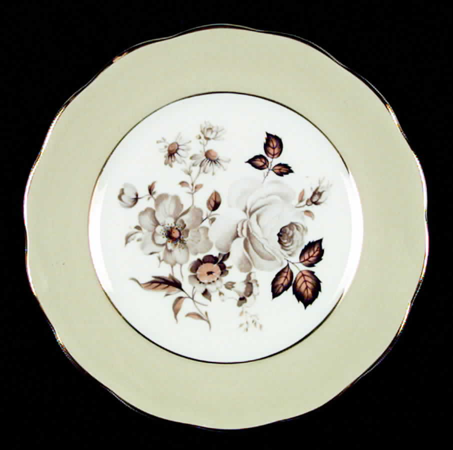 Terra Nova Bread & Butter Plate by Queen Anne (England)-1