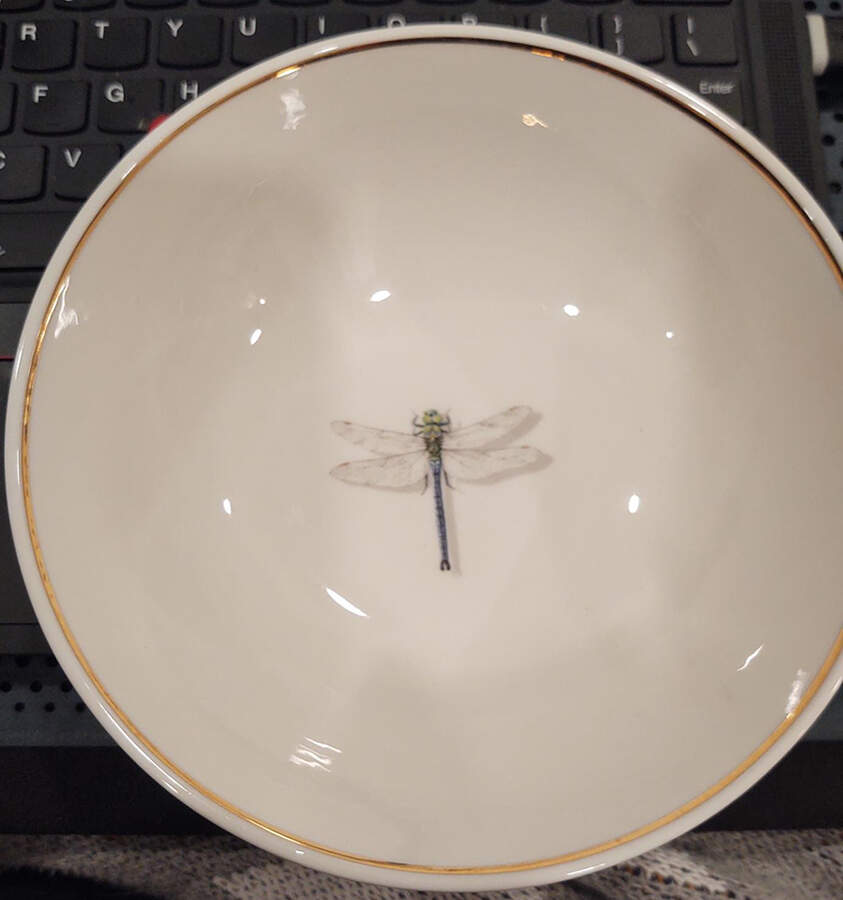 QUE4 Coupe Cereal Bowl by Queen's-1