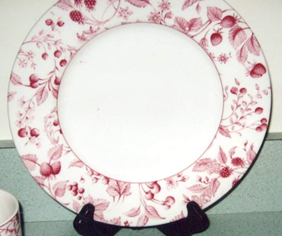 QUE6 Dinner Plate by Queen's-1
