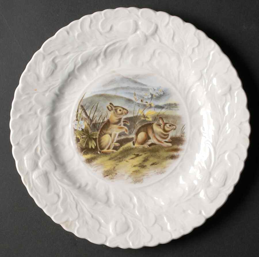 QUE13 Salad Plate by Queen's-1