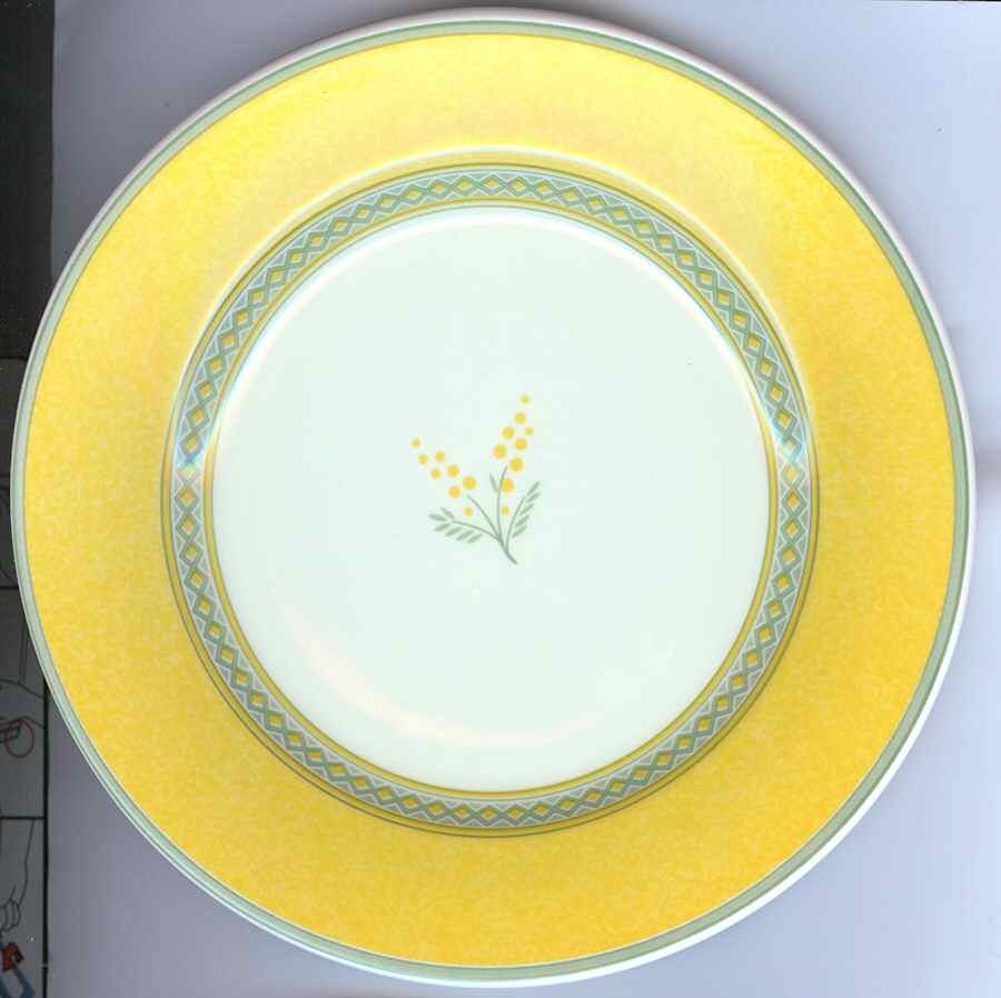 QUD43 Dinner Plate by Quadrifoglio-1
