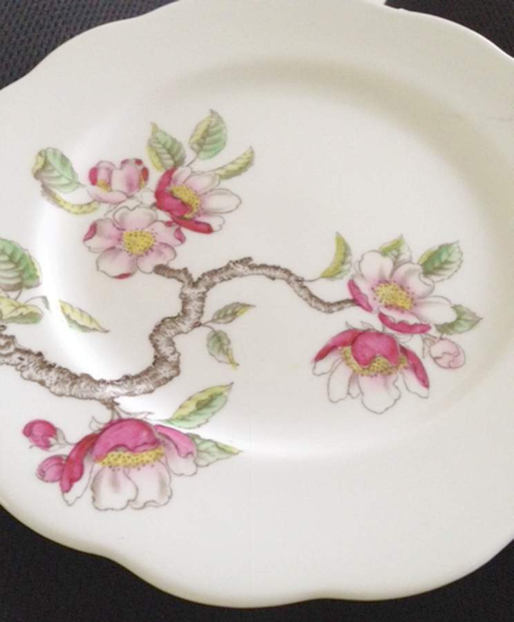 QUA63 Dinner Plate by Queen Anne (England)-1
