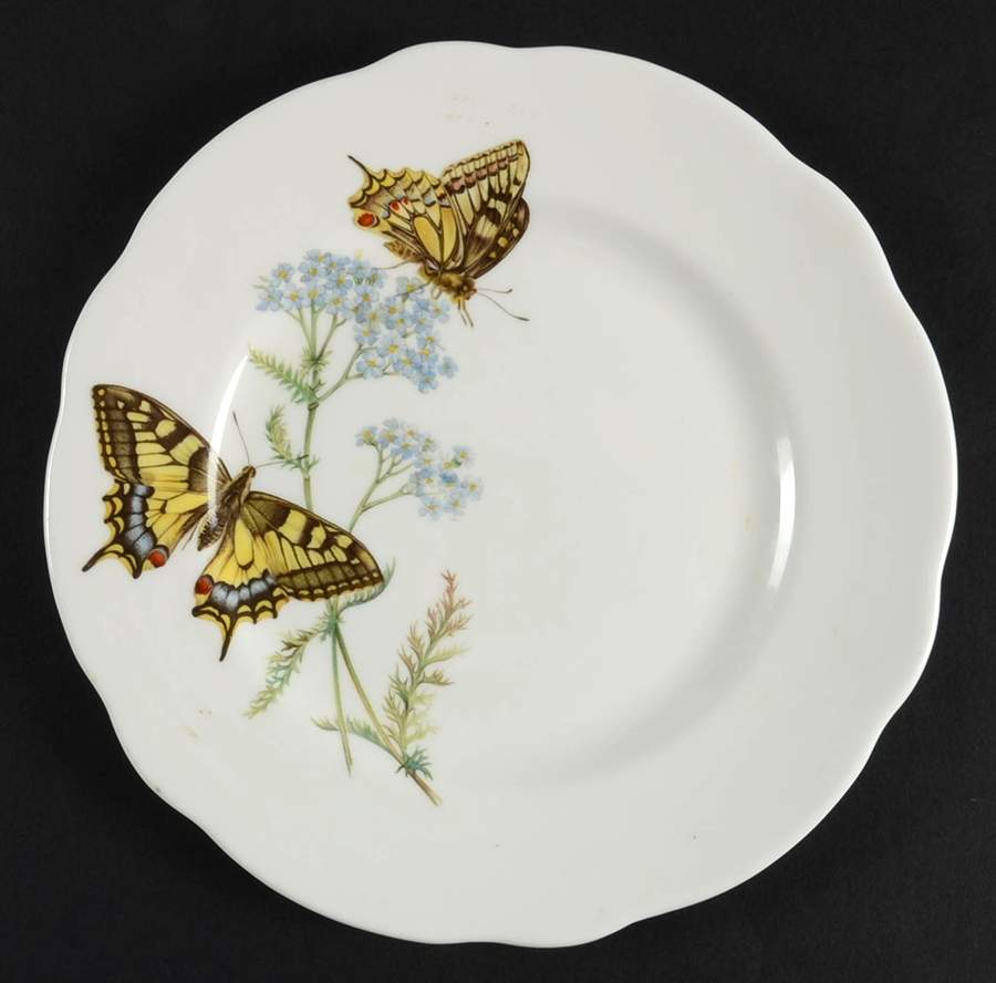 QUE22 Salad Plate by Queen's-1
