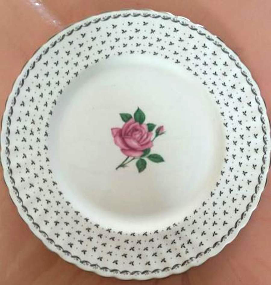 QUA67 Dinner Plate by Queen Anne (England)-1