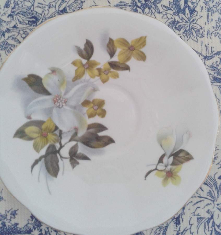QUA75 Saucer by Queen Anne (England)-1